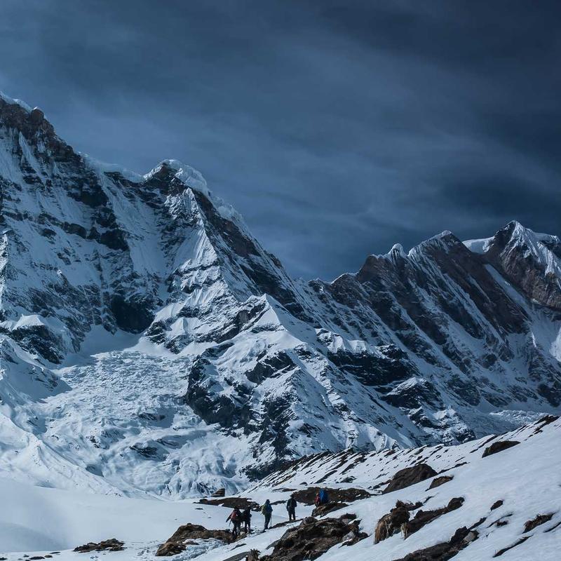 24K Gold Shimmer Highlighter Palette